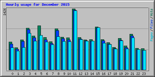 Hourly usage for December 2015