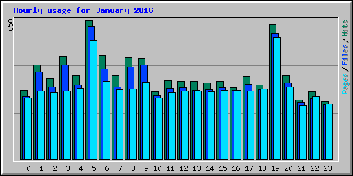 Hourly usage for January 2016