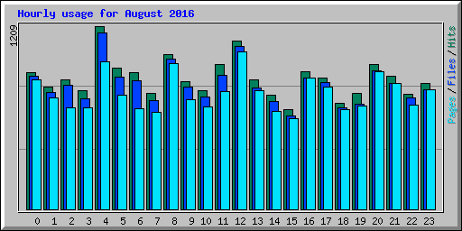 Hourly usage for August 2016