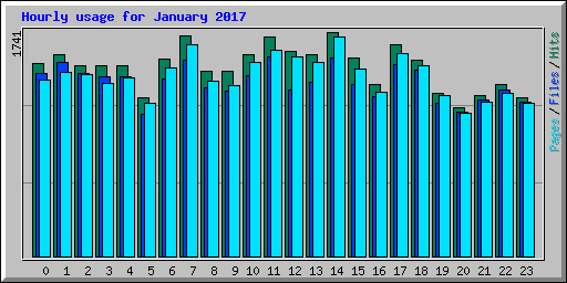 Hourly usage for January 2017